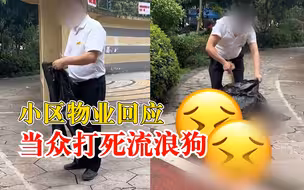 小区物业当众打死流浪狗引争议，物业：是咬人的疯狗，正常狗没打