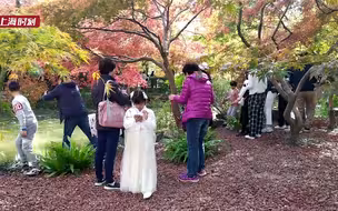 醉美深秋来了，魔都给你点“颜色”看看