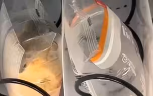 自动售卖机里发现一只老鼠，在真空包装袋里吃面包