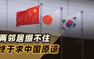 两邻居绷不住，终于求中国原谅，时隔四年再见，一个比一个惨