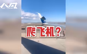 美国一男子爬上即将起飞的客机机翼，四处走动后坠落