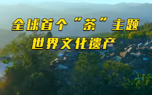 我国再添一处世界遗产！普洱景迈山古茶林文化景观申遗成功