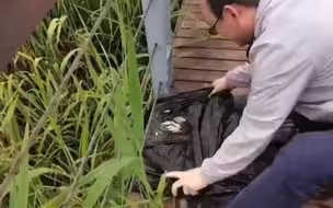 超暖心！热心市民送“迷路”小鱼回家