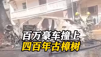 江西一辆百万豪车撞上400年古樟树起火烧成车架 古树被毁一半