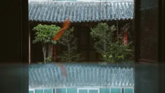 【田野之上】张卓的遗像