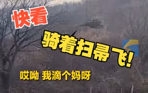 机智村民空中运输干柴 路人直接看懵了