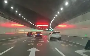 狗狗误入大连海底隧道被一路护送，对生命的尊重，是文明城市该有的样子