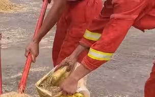 出警归队途中偶遇村民冒雨抢收稻谷，消防员立即上前帮忙