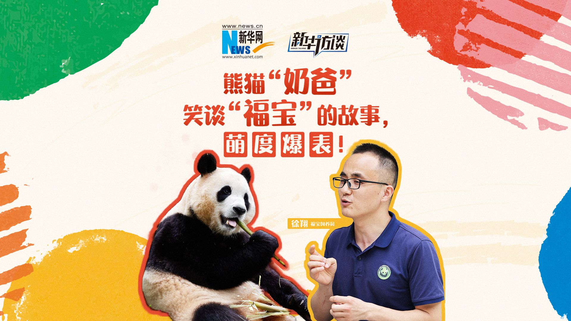 熊猫“奶爸”笑谈“福宝”的故事，萌度爆表！