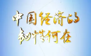 理论一点点｜中国经济的韧性何在