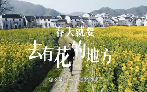 为什么一定要去婺源看油菜花（内附婺源赏花花期表）