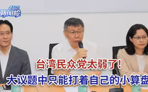 台湾民众党太弱了，大议题中只能打着自己的小算盘