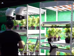 德国举行欧洲最大大麻展，超350家厂商参加，原材料制作仪器应有尽有