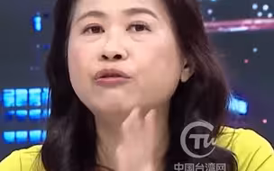 绿营民代政论节目中渲染海峡论坛是“对台统战”，现场嘉宾回怼：罔顾民生！