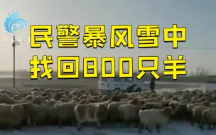 民警暴风雪中搜寻3小时找回800只羊 脱下棉大衣给被救牧民