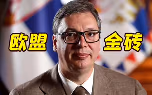 欧盟还是金砖？武契奇称塞尔维亚或将面临抉择
