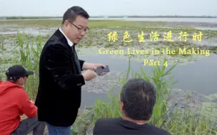 绿色生活进行时 | 他们的努力还白洋淀一片碧水清波