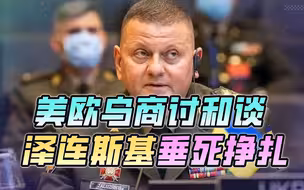 美欧乌正商讨和谈，乌军总司令先倒戈，泽连斯基垂死挣扎