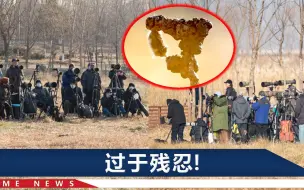 树枝捆仓鼠、芦苇藏大头针？北京园林局回应摄友“诱拍”行为