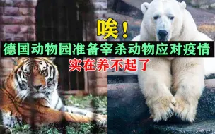 养不起了！德国动物园拟宰杀动物应对疫情：已联名要求政府提供1亿欧元援助
