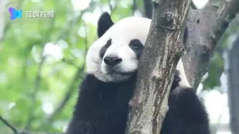 你想知道什么叫做惬意吗？