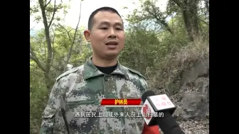 苍南望里：堵牢、消除森林火险隐患点