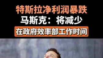 特斯拉净利润暴跌马斯克：将减少在政府效率部工作时间