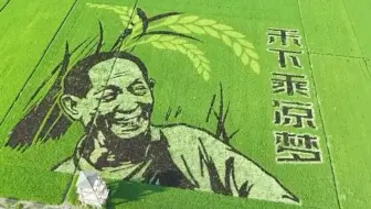 夏日好时光｜稻田画里新“丰”景