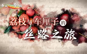 #一带一路有你有我 #荔枝与车厘子的丝路之旅 共建“一带一路”倡议提出10年来，荔枝成为香飘六大洲的中国水果名片，车厘子跃升中国“洋年货”顶流。