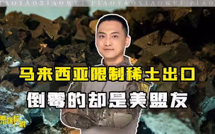 马来西亚出了一禁令，外媒炒作：为远离中国，倒霉的却是美盟友