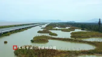 “杉”水秘境，层林尽染！玉环市漩门湾湿地公园的水杉红了！