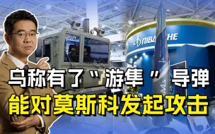 乌称已有“游隼”导弹，射程能打到莫斯科，还可摧毁克里米亚大桥