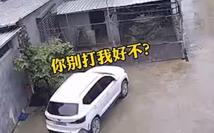 福建一男孩被疯牛挑飞撞进车底 ，没想到千钧一发之际，男孩用这招保命...