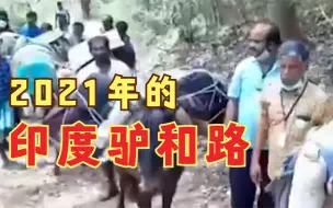 印度用毛驴运送投票机遭自嘲：计划上太空却没一条像样的路