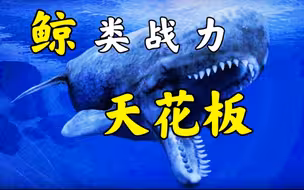 远古最强鲸类，能够让巨齿鲨都忌惮？《齿鲸篇》