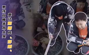 奶奶过年杀鸡男孩崩溃大哭，阳刚不等于无情无感，也包含善良的品质