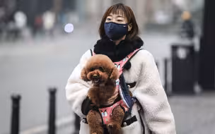 中国“一刀切”控制疫情，牺牲了“自由”？美媒透出酸醋味