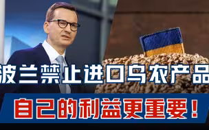 乌克兰遭铁杆盟友背叛！波兰禁止进口乌农产品，欧盟一个头两个大