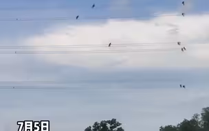电力工人高空检修作业，一开始以为是鸟，越放大越震撼。致敬高温下的劳动者！