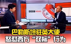 巴勒斯坦驻英大使怒怼西方“双标”行为