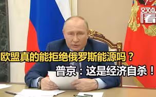欧盟真的能拒绝俄罗斯能源吗？普京：这是经济自杀！