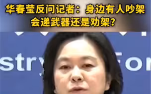 华春莹反问记者：身边有人吵架会递武器还是劝架？