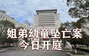 姐弟幼童坠亡案今日开庭