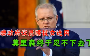 我不知道我为什么会那么做，骚扰女选民事发，莫里森政府议员辞任