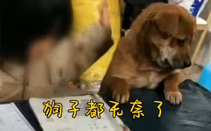 假期余额不足，开学前补作业名场面！像不像小时候疯狂赶作业的你！