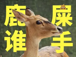 自从干了这行，每天心头小❤鹿❤乱❤撞❤