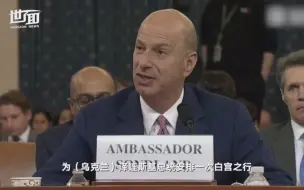 听证会爆猛料：美国驻欧盟大使承认特朗普与乌克兰利益交换