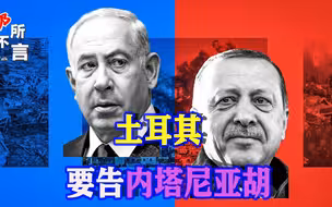 土耳其对以色列出手，内塔尼亚胡被告到国际法院，朔尔茨帮忙喊冤