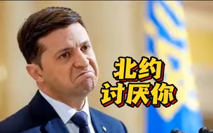 美国前情报官员喊话泽连斯基：北约只是在利用你