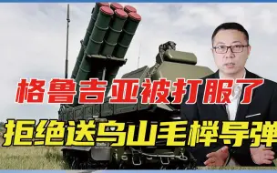 格鲁吉亚被打服了，无视美欧压力、示好普京，拒绝送乌山毛榉导弹